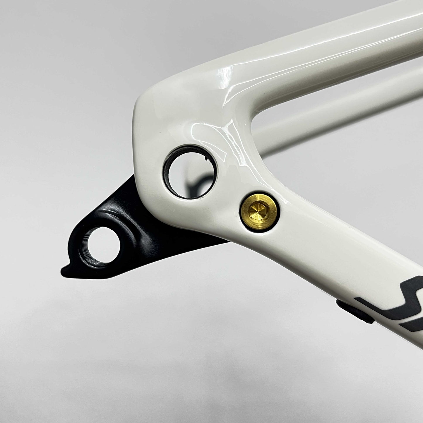 Titanium Bolt for Specialized Rear Derailleur Hangers