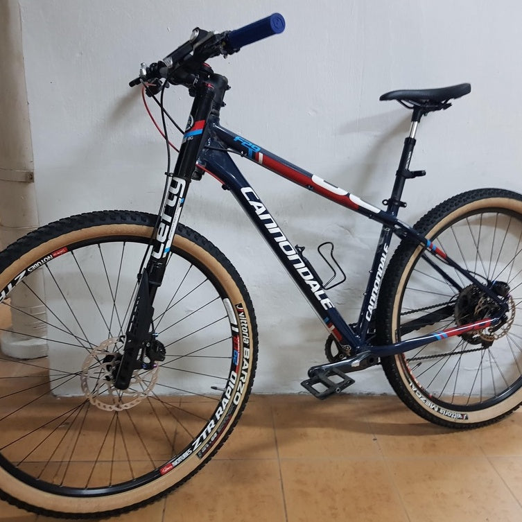 鈦螺栓升級解決方案 Cannondale F29 左前叉鈦螺絲自行車新加坡 Supersix Evo Hooligan
