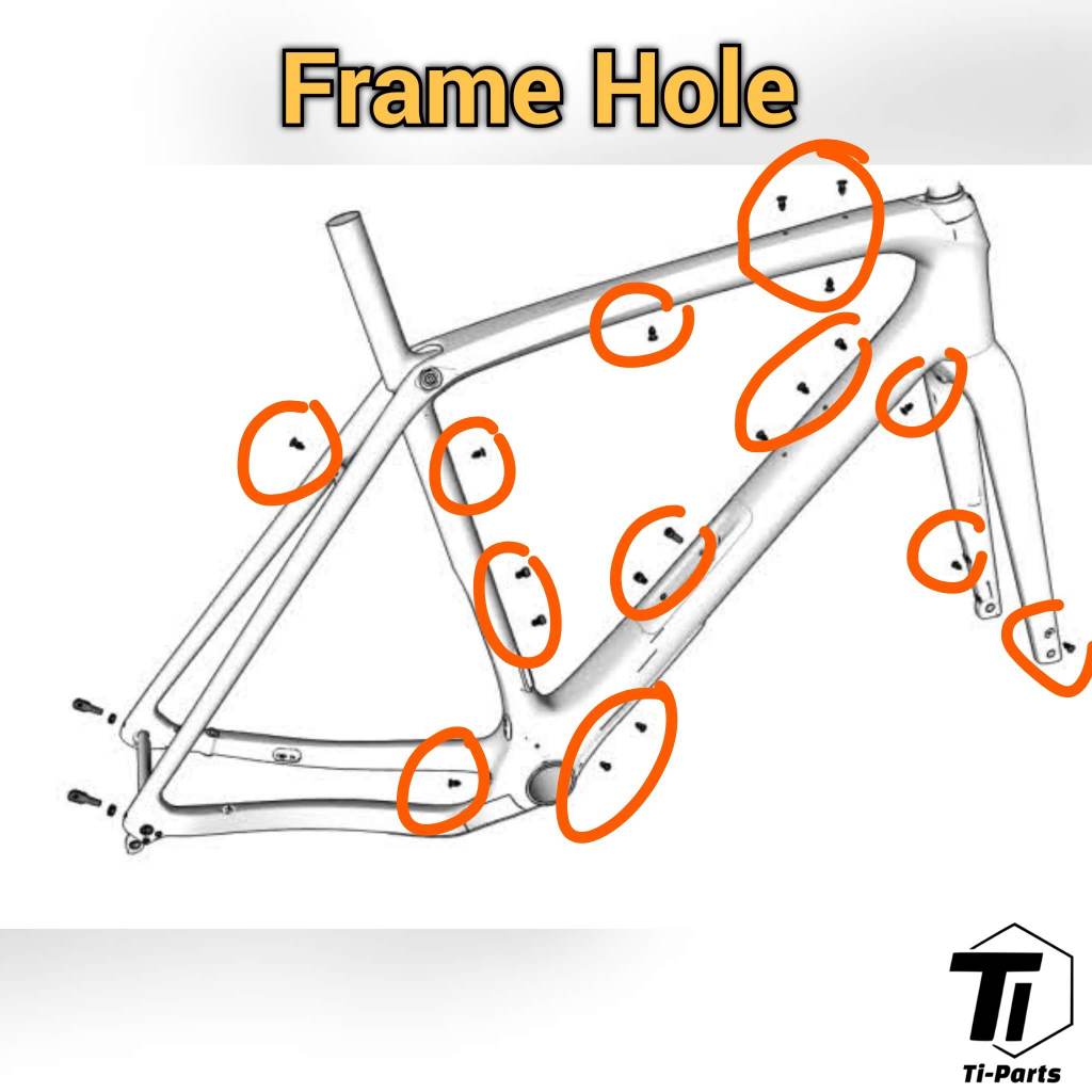 Titanium Upgrade for Trek Checkpoint | SL SLR MY23 | フレーム穴用ネジシール トップチューブ ダウンチューブ 荷台 ボルト ネジ | Gr