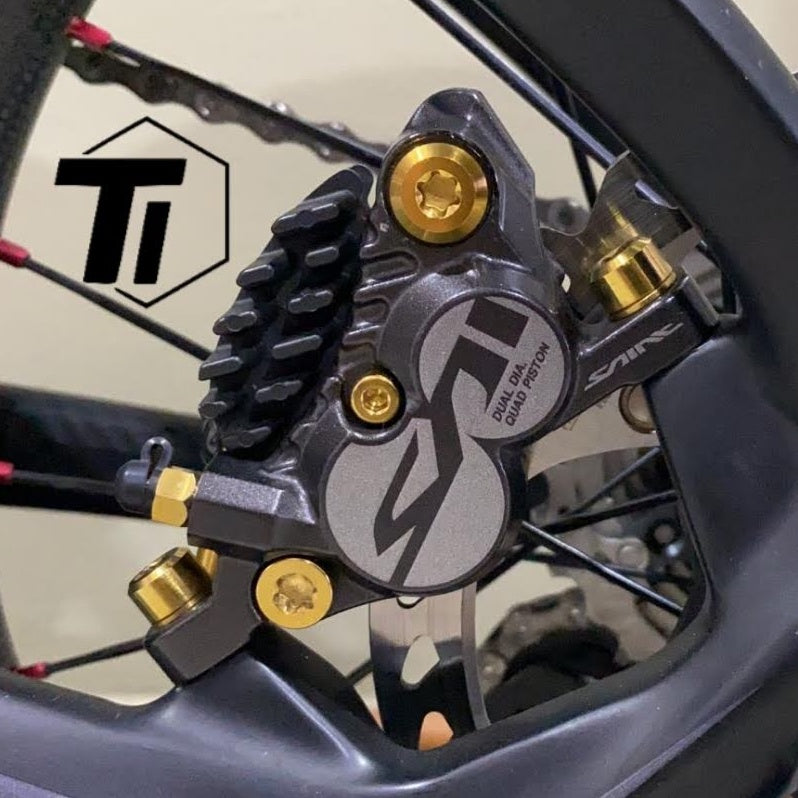 Titanový šroub M6 pro upevnění držáku brzdového třmenu MTB Foldie Minivelo Shimano SRAM Tektro Avid Saint Zee Deore XT SLX XTR