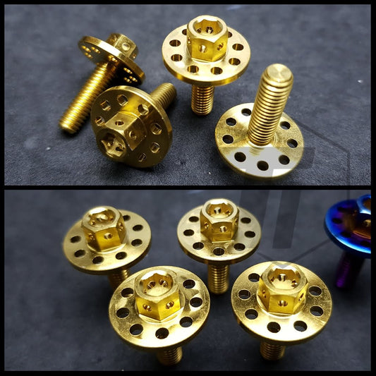 Titanium M6 Wide Filter Cover ฝาปิดท่อไอเสีย โบลท์ป้ายทะเบียน m6x20 Titanium Screw Grade 5 Singapore