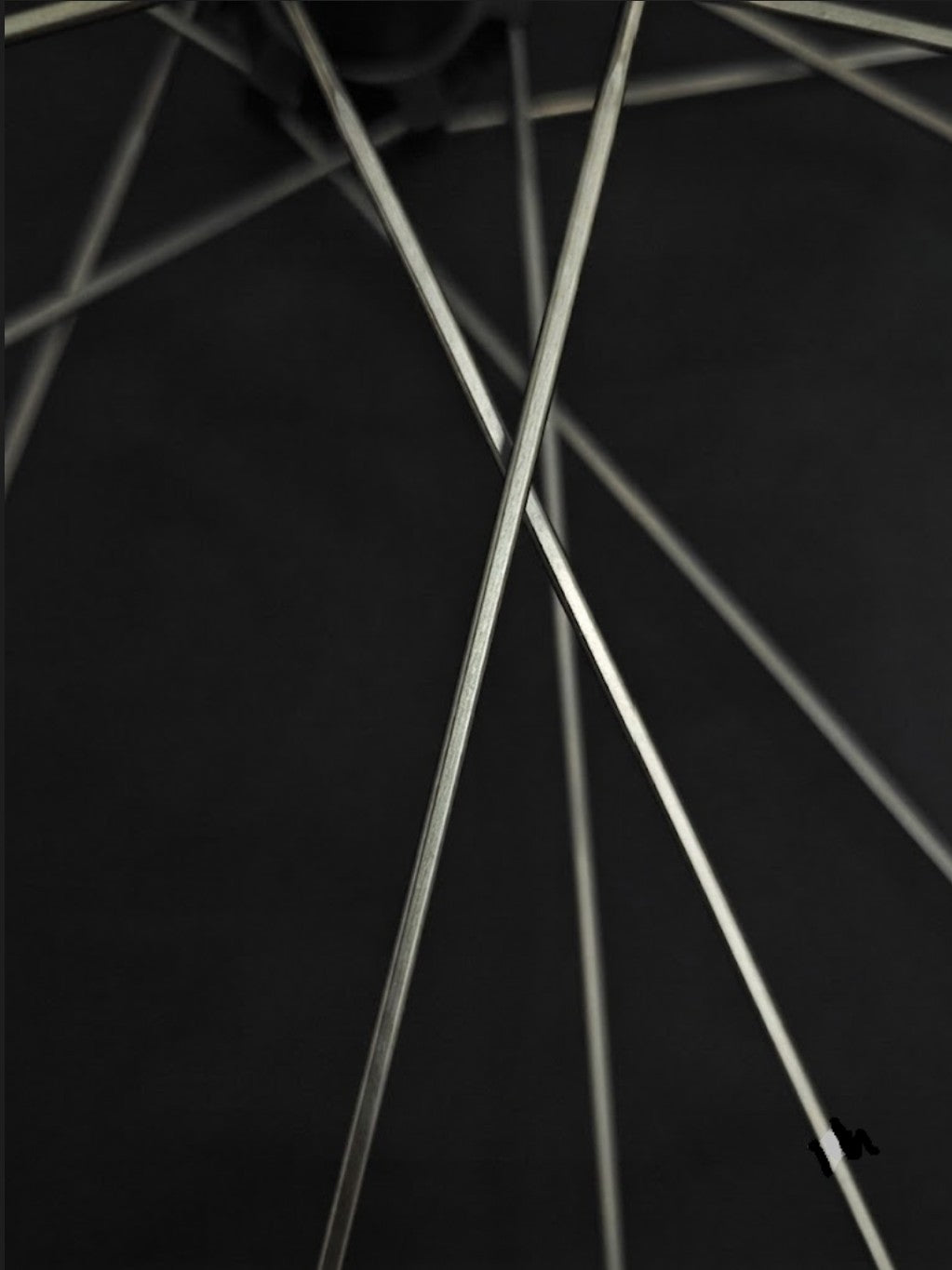 Laget C33 Carbon Gravel Disc Wheelset | 1205g, 33mm Depth, Titanium Spokes
