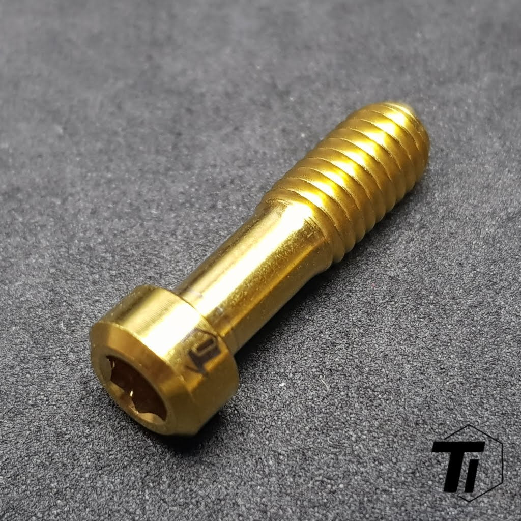Titanium bolt for Avid Elixir Brake Lever Clamp bolt | Elixir 3 5 9 CR FR5 FR7 M6x20 | Titanium Screw Grade 5 Singapore