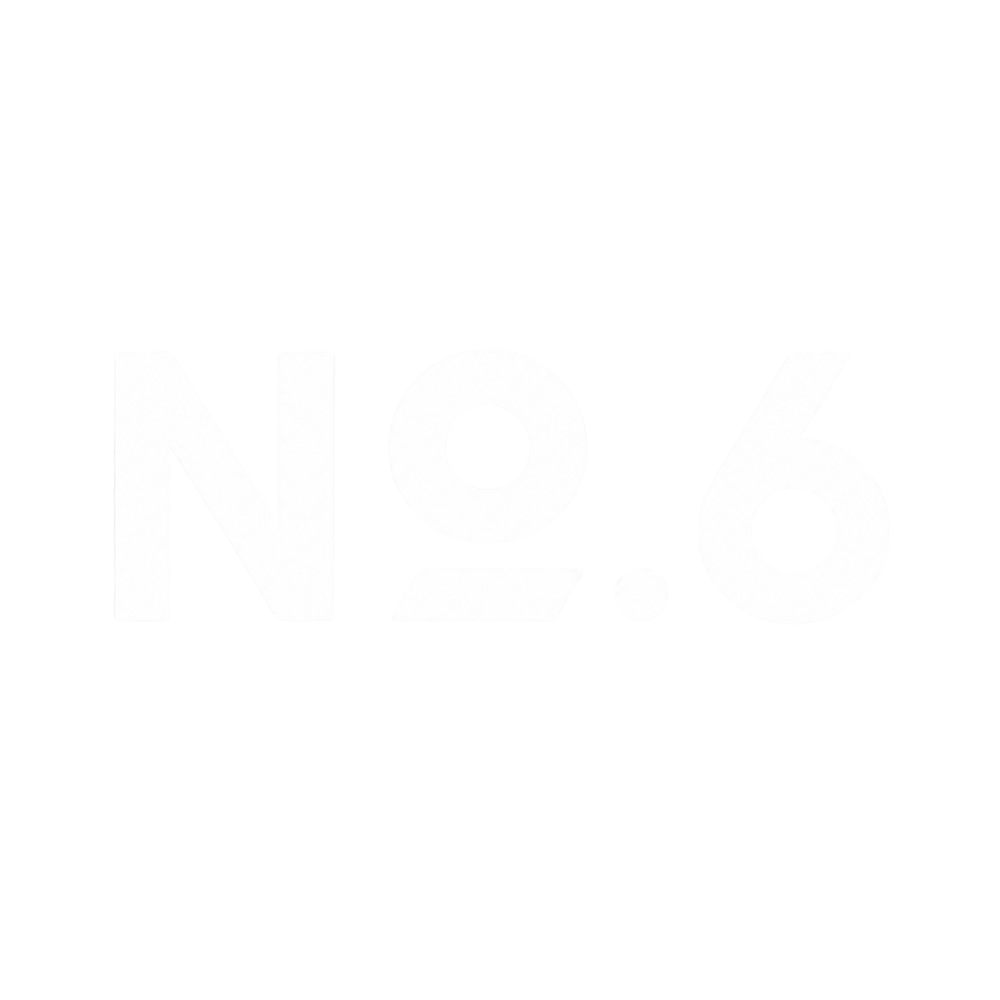 no.6