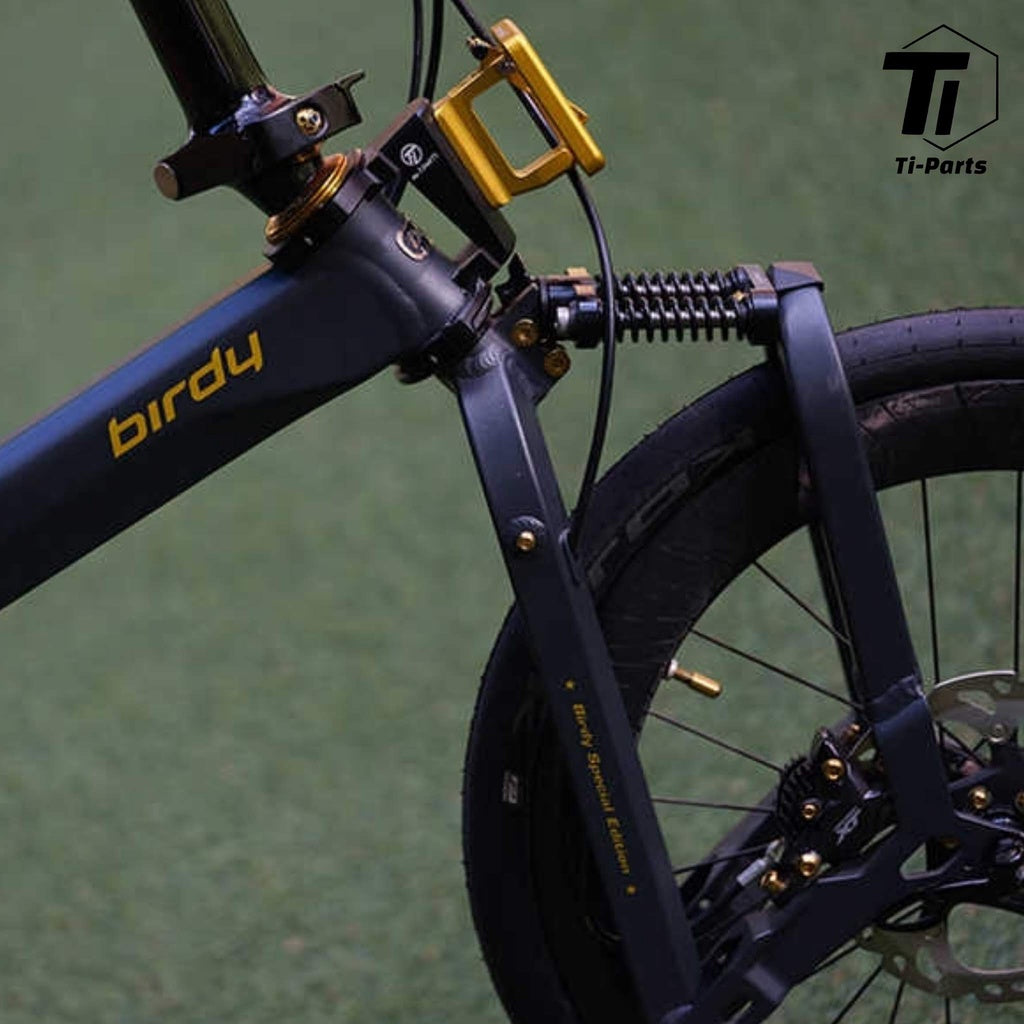 Titanium Birdy frissítő készlet | Titán csavaros csavaros összecsukható kerékpár GT R20 Új Classic City Touring plusz Rohloff JK11 Ridea11