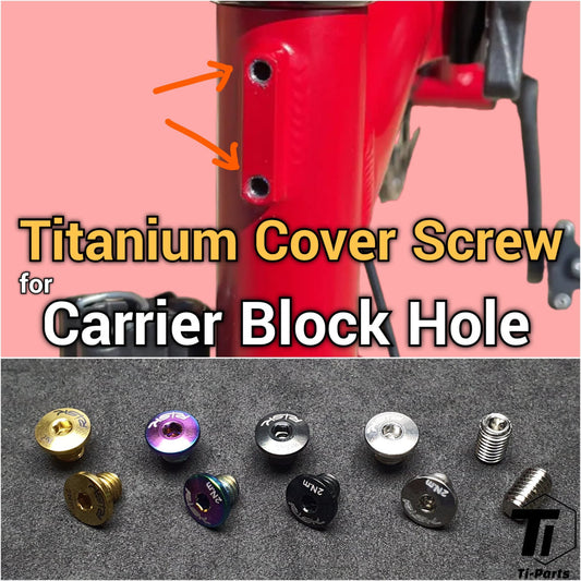Titanium Cover Screw for Carrier Block Hole | Brompton Front Carrier Block Seal Screw | Tiparts Grade 5 Titanium Bolt Si