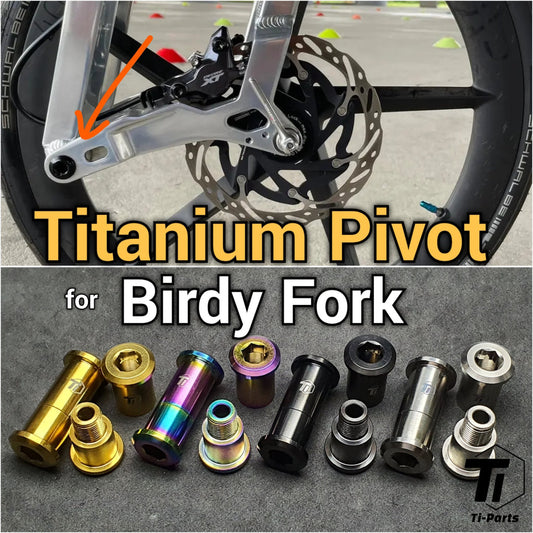 Titanium pivot för Birdy Fork | CNC Ti Alloy Ridea Litepro Axis Gaffel Ledbyte Uppgradering R20| TiParts Grade 5 Ti