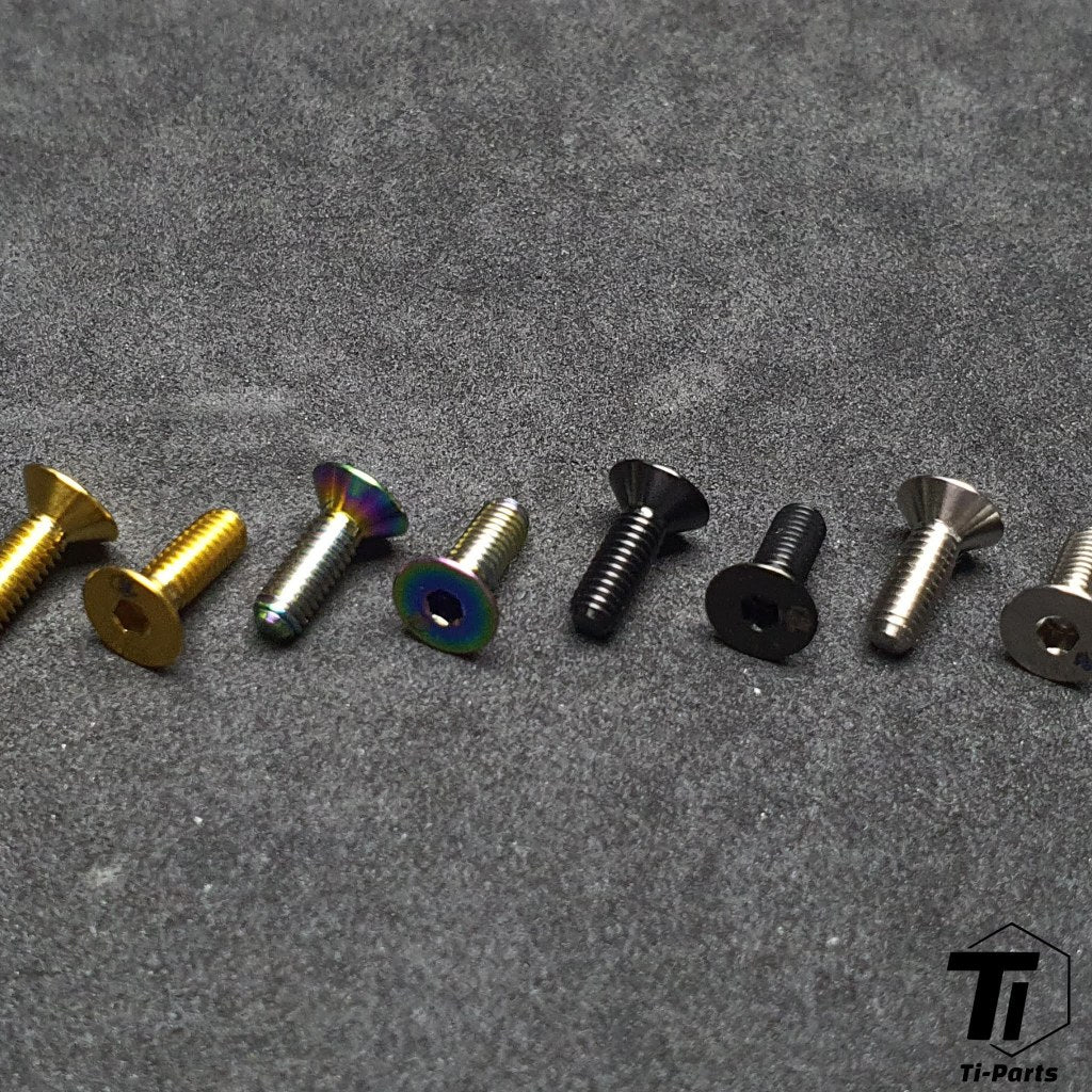 캐년 블라인드 플레이트용 티타늄 나사 | GP7360-01 | 5등급 티타늄 볼트 싱가포르